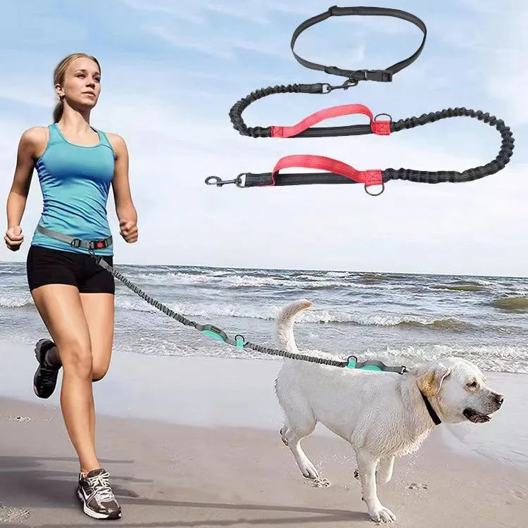 Hand-Free Dog Leash – Run & Walk Without Limits | Pets Friend