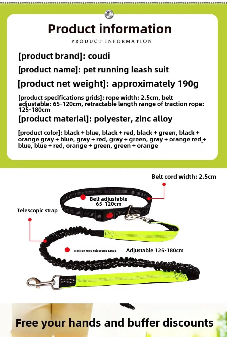 Hand-Free Dog Leash – Run & Walk Without Limits | Pets Friend