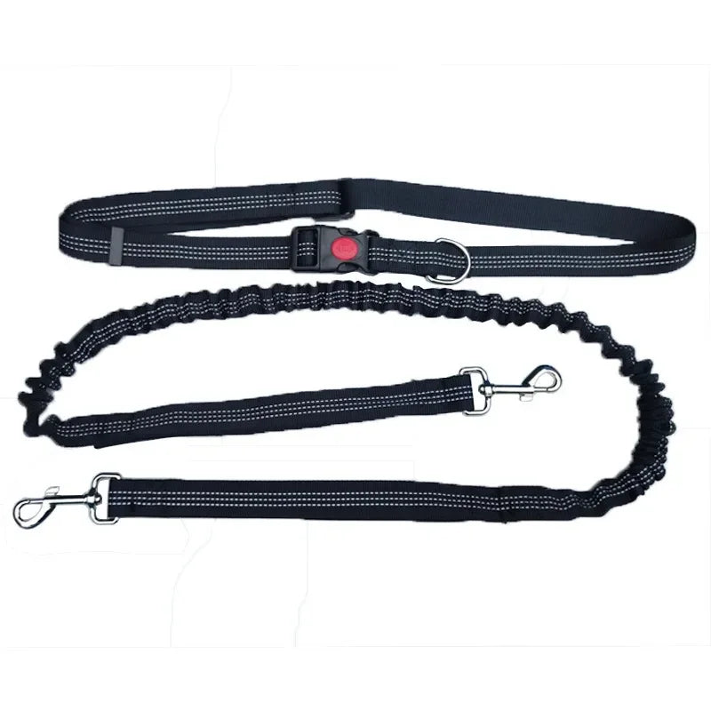 Hand-Free Dog Leash – Run & Walk Without Limits | Pets Friend