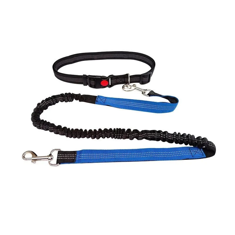 Hand-Free Dog Leash – Run & Walk Without Limits | Pets Friend
