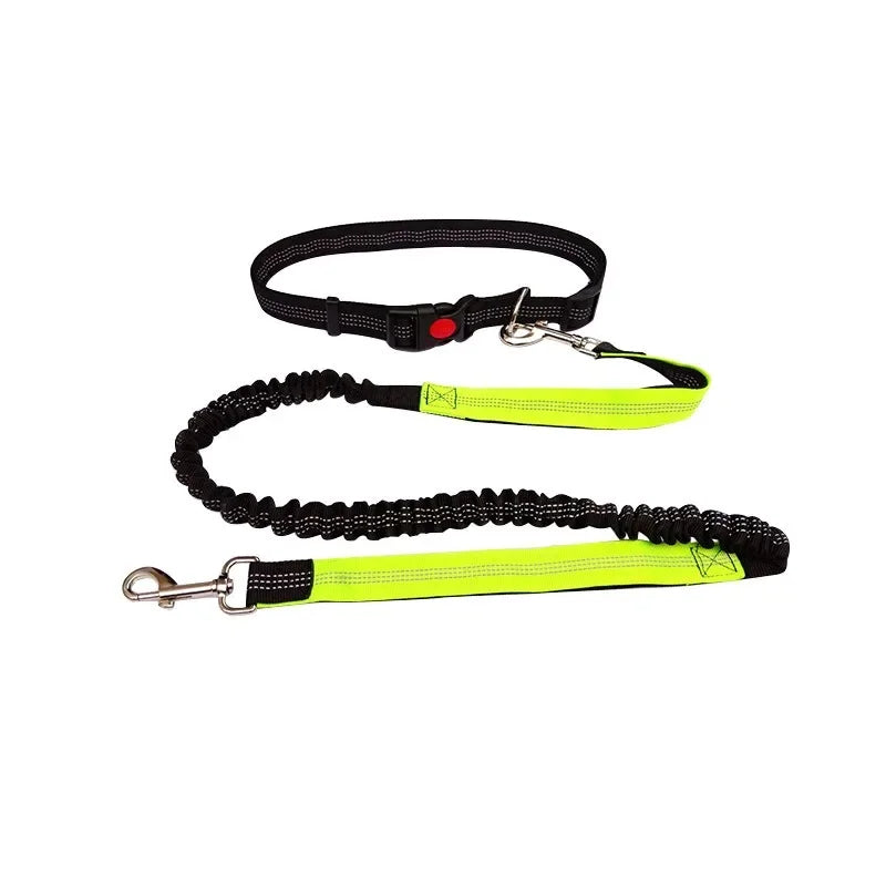 Hand-Free Dog Leash – Run & Walk Without Limits | Pets Friend