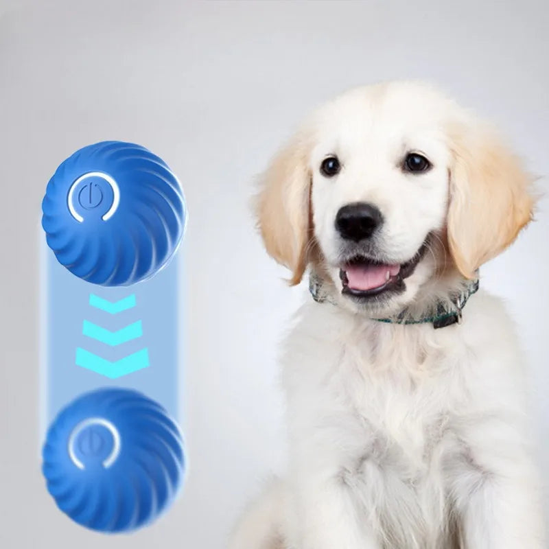Smart Automatic Dog Toy Ball – Jumping & Rotating Interactive Play | Pets Friend