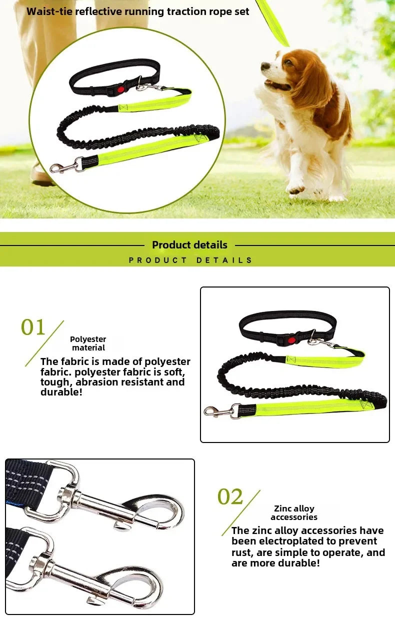 Hand-Free Dog Leash – Run & Walk Without Limits | Pets Friend
