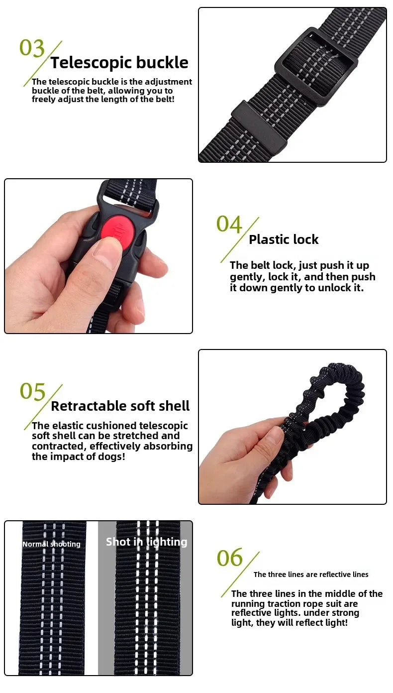 Hand-Free Dog Leash – Run & Walk Without Limits | Pets Friend